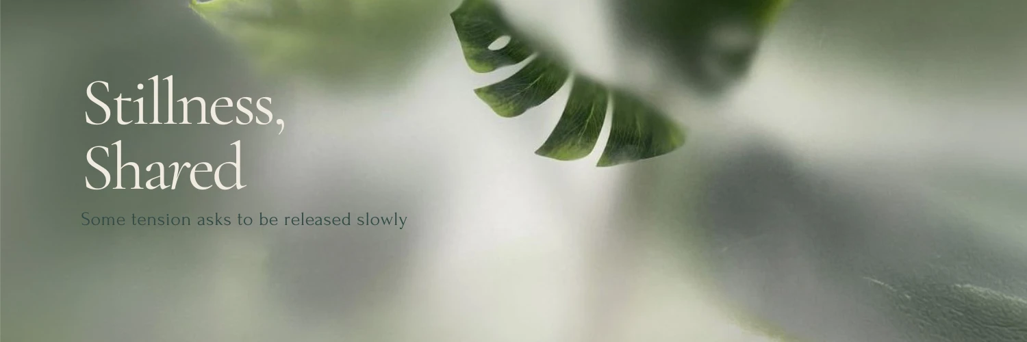 Stillness, Shared
